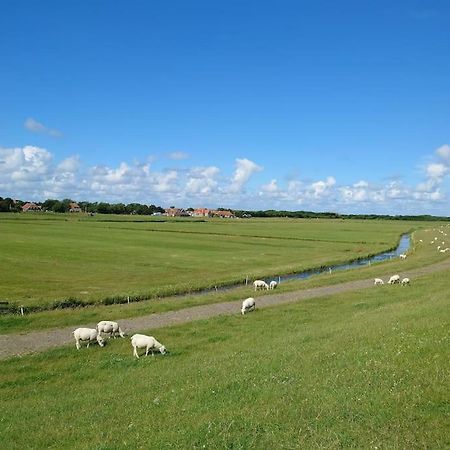 De Oostkamer; Eiland Appartement Naast Natuurgebied Boschplaat Oosterend  Kültér fotó