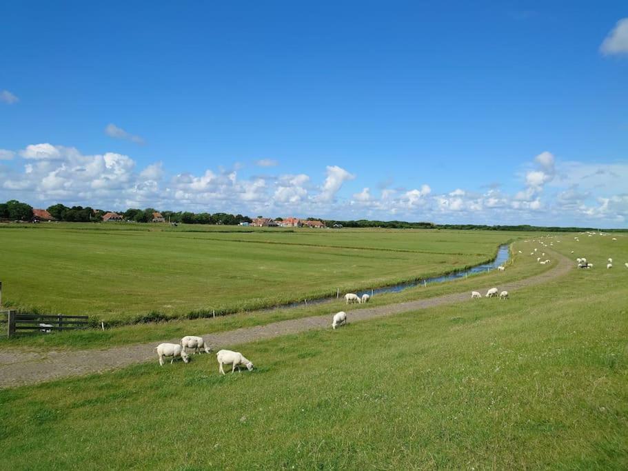 De Oostkamer; Eiland Appartement Naast Natuurgebied Boschplaat Oosterend  Kültér fotó